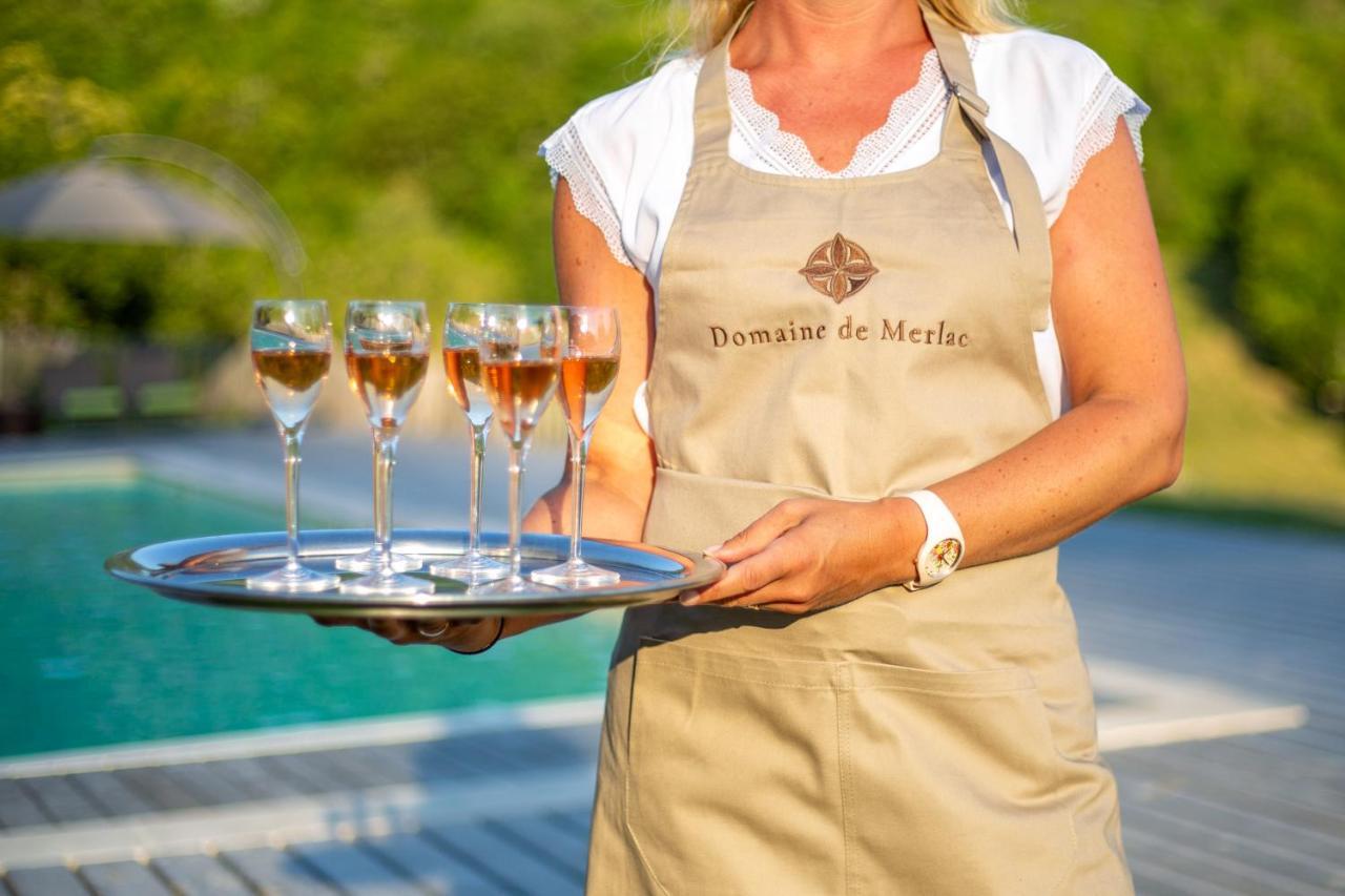 Domaine De Merlac Rieussec Exterior photo
