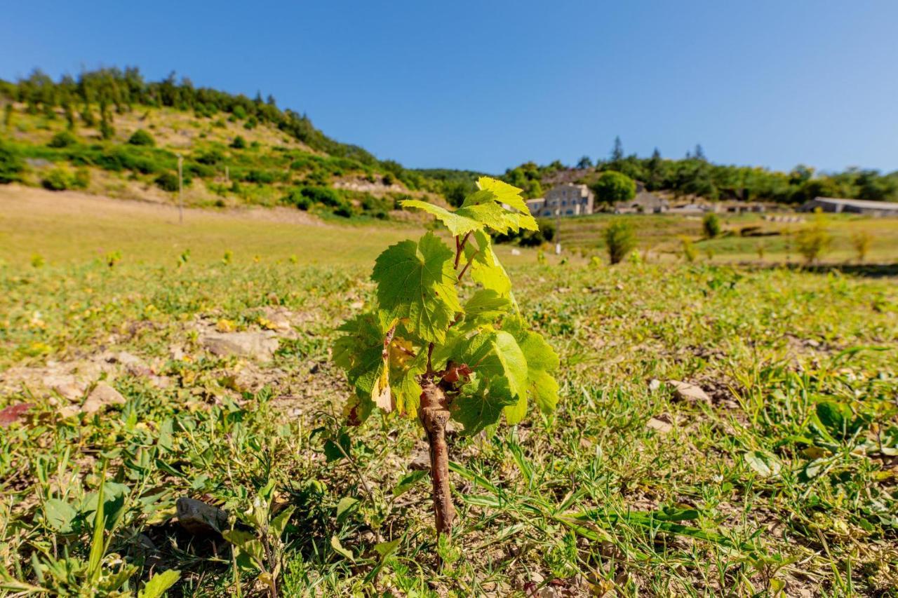 Domaine De Merlac Rieussec Exterior photo
